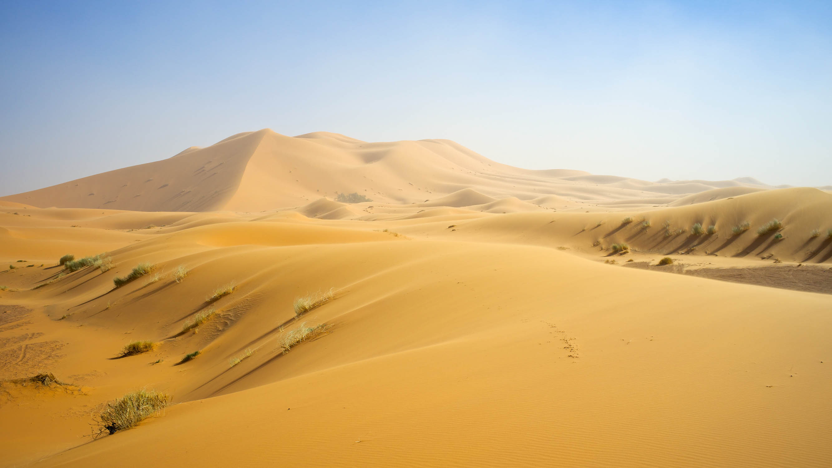 Erg Chebbi, Morocco • 1/800 · f/5.6 · 35mm • Sony A7