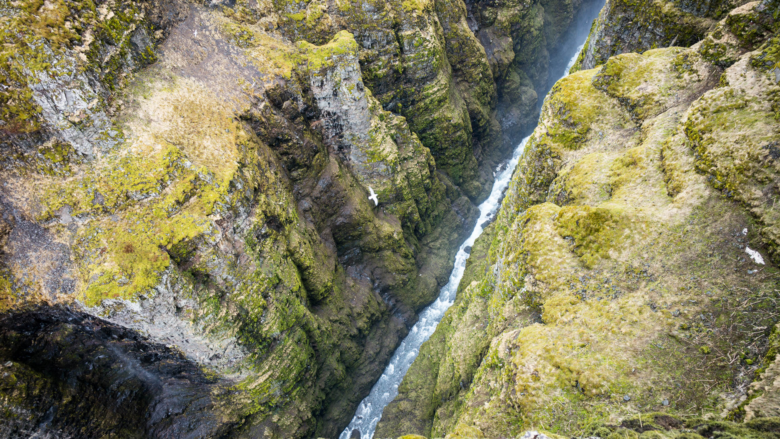 Glymur, Iceland • 1/250 · f/3.5 · 21mm • Leica M240